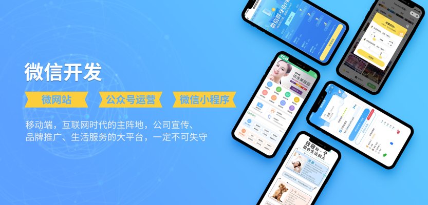 小程序定制开发:构建专属的线上生态